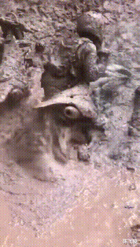 王者荣耀|删头像碰巧找到了以前的王者荣耀了