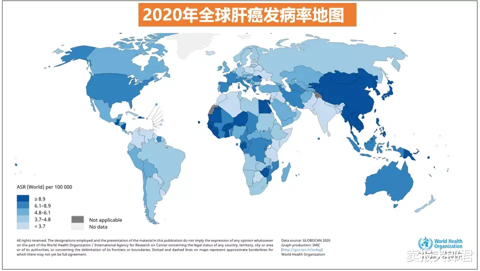 卖报大郎君 俄罗斯喝酒这么猛,为啥肝癌却不多?