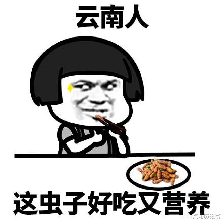 默沙东 历史的角落: 被芥末改变的世界很精彩