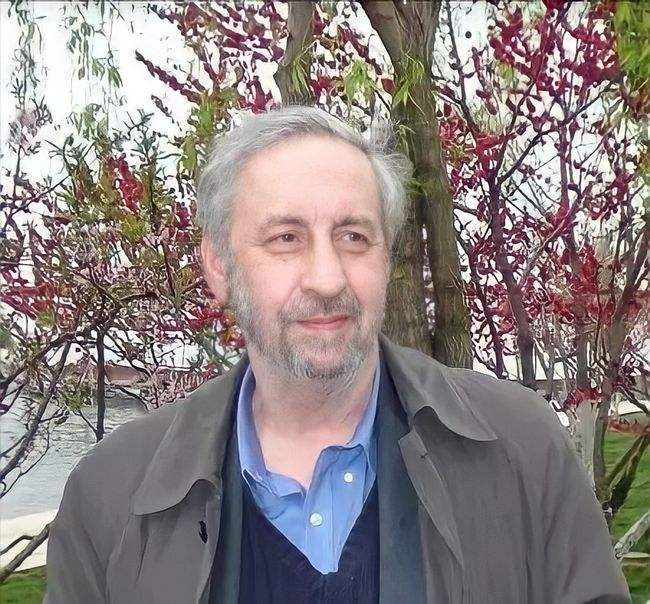 国籍|22年前北大才女田晓菲，弃国籍嫁大25岁美国老头，如今怎么样了