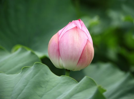 星临天下 10月下旬,开门大吉,4属相贵人相助,财源滚滚,生活越来越美好