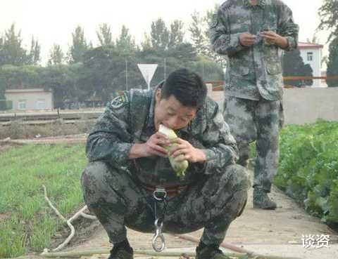 吴京|打败沈腾的，还是吴京！