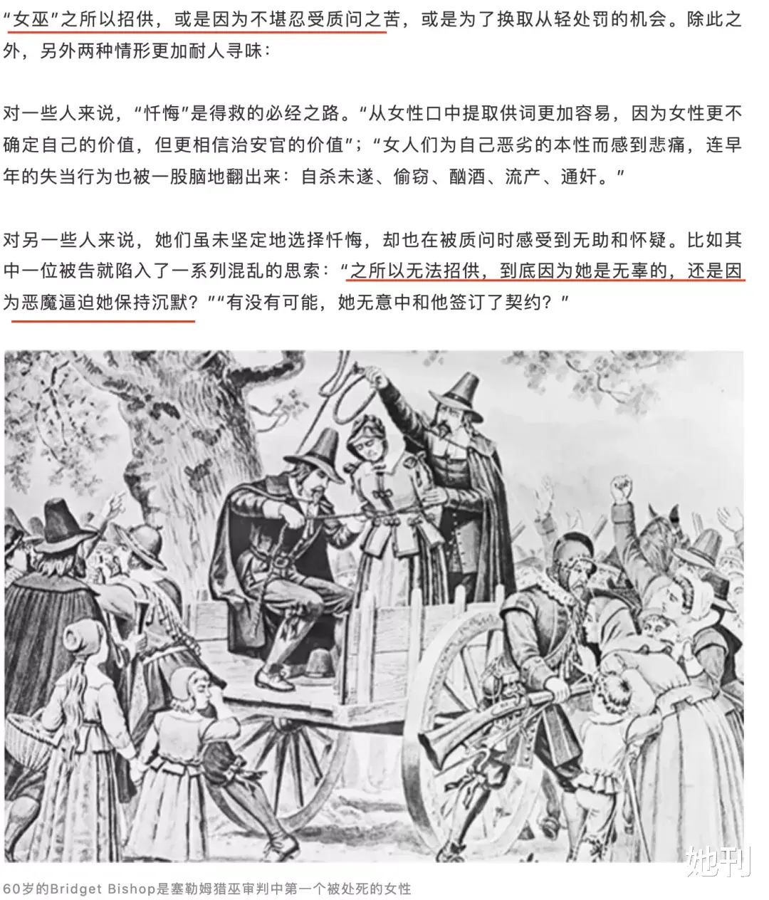她刊 前天鉴茶、昨天鉴鸡、今天鉴媛？