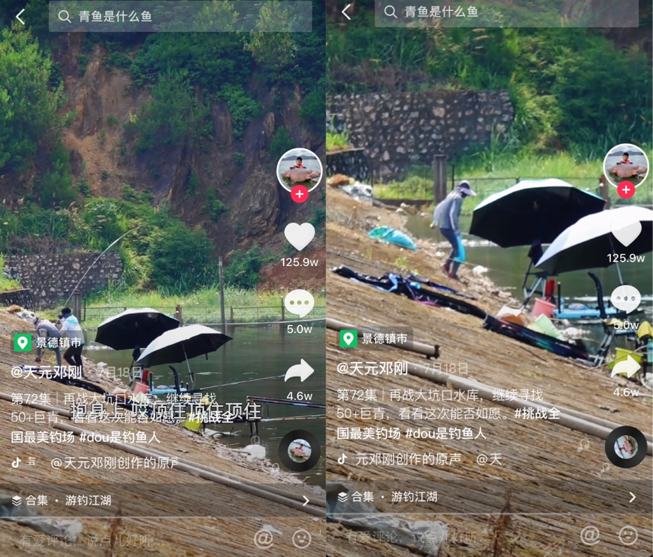 水库|一个50岁的男人，全国2000多万人看他钓鱼！钓鲨鱼吗？