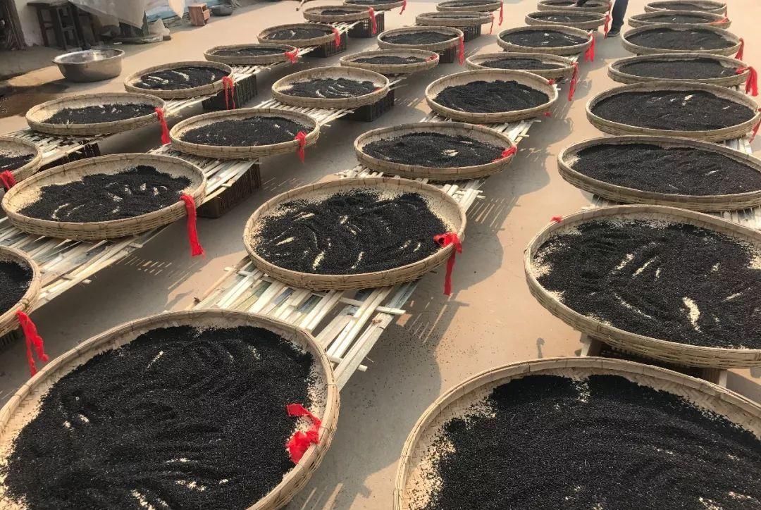 心脏|建议中老年：入秋少吃肉，若不差钱常吃这5种食物，营养高好吸收