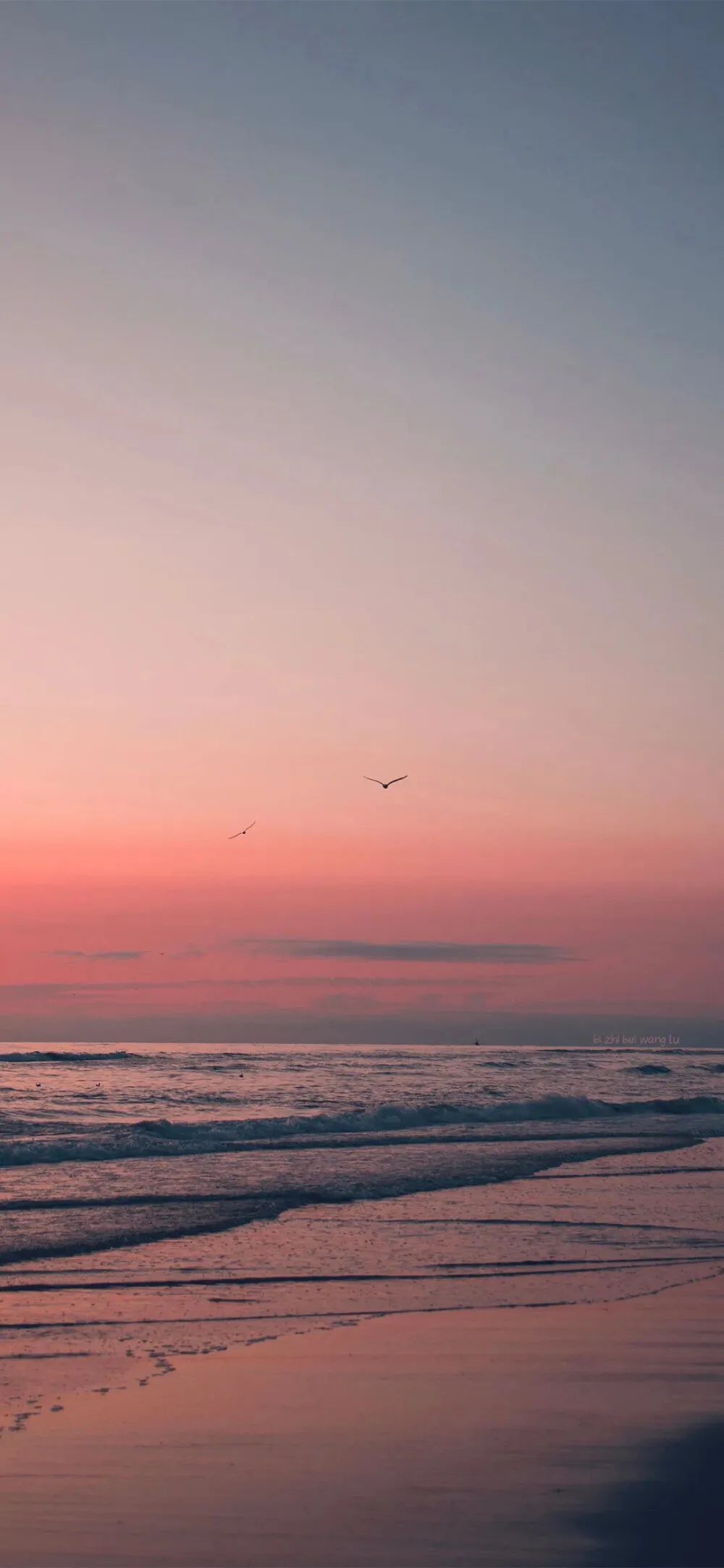 拐卖|孙海洋：被拐14年的亲生儿子找到了！网友：原来，结局远超想象