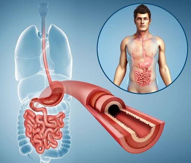 海带|年纪越大越控制不住“漏尿”，医生：一个穴位可以缓解“漏尿”