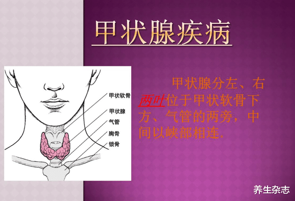 甲状腺结节|多家医院联合提倡：坚持食用“1素食”，或可避免甲状腺结节增长