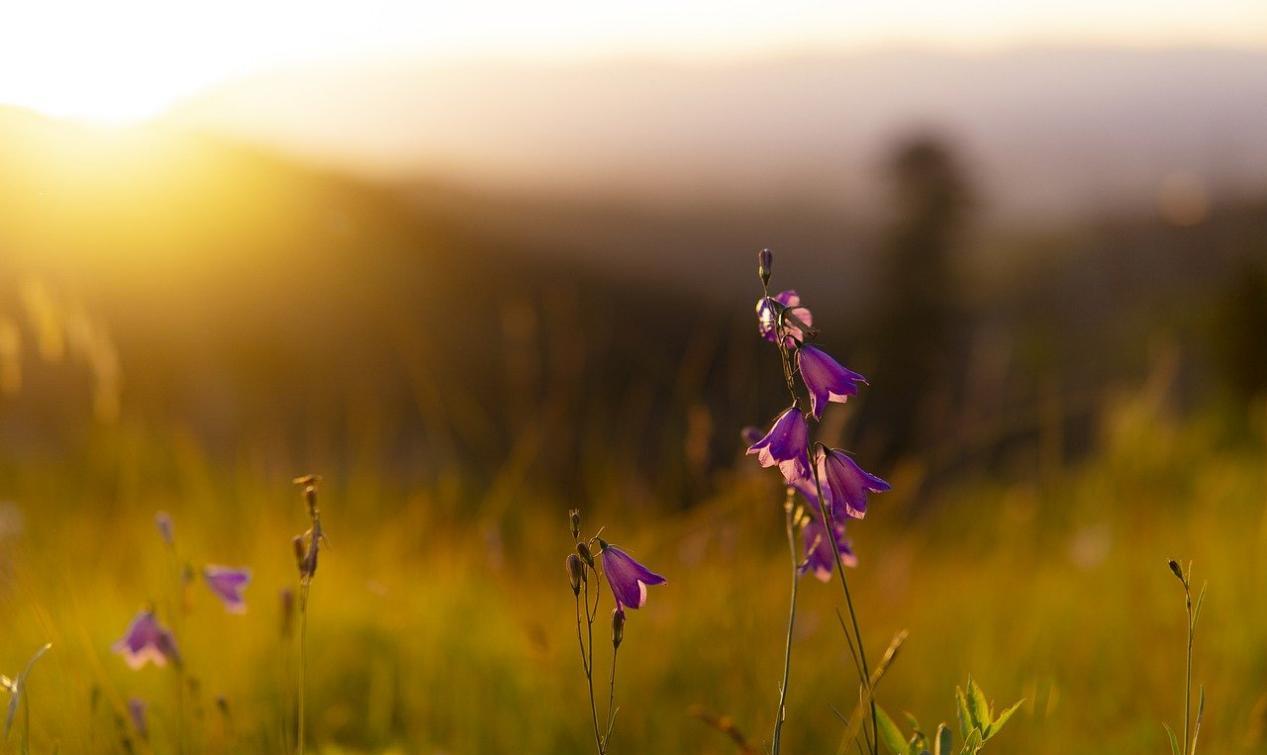泪水迷失了双眼|9月下半月,身处逆境的星座,有人自乱阵脚,有人逆风翻盘