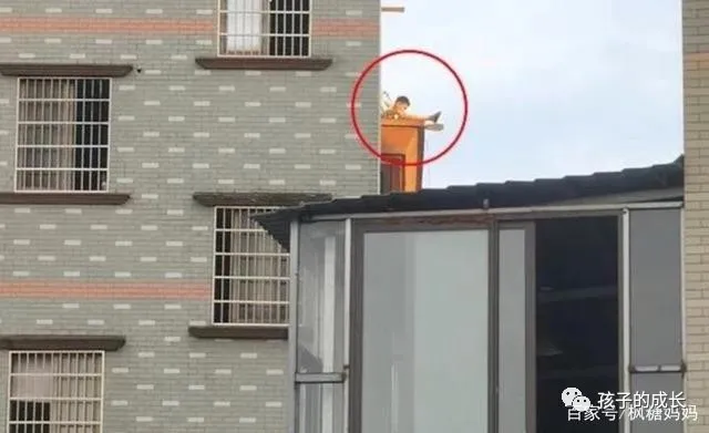 树艺蛙APP|学习只是为了过上“好日子”这种思维最终还是满足了自己害了孩子