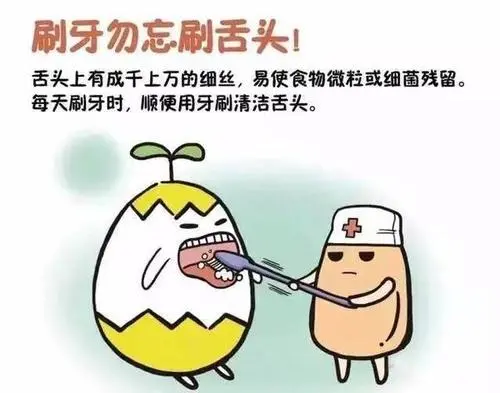 银川芽芽|你一定要知道的口腔趣味冷知识