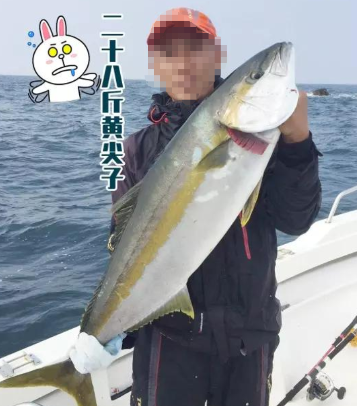 |你钓到过最大的鱼有多大?20斤?对我来说那叫鱼饵