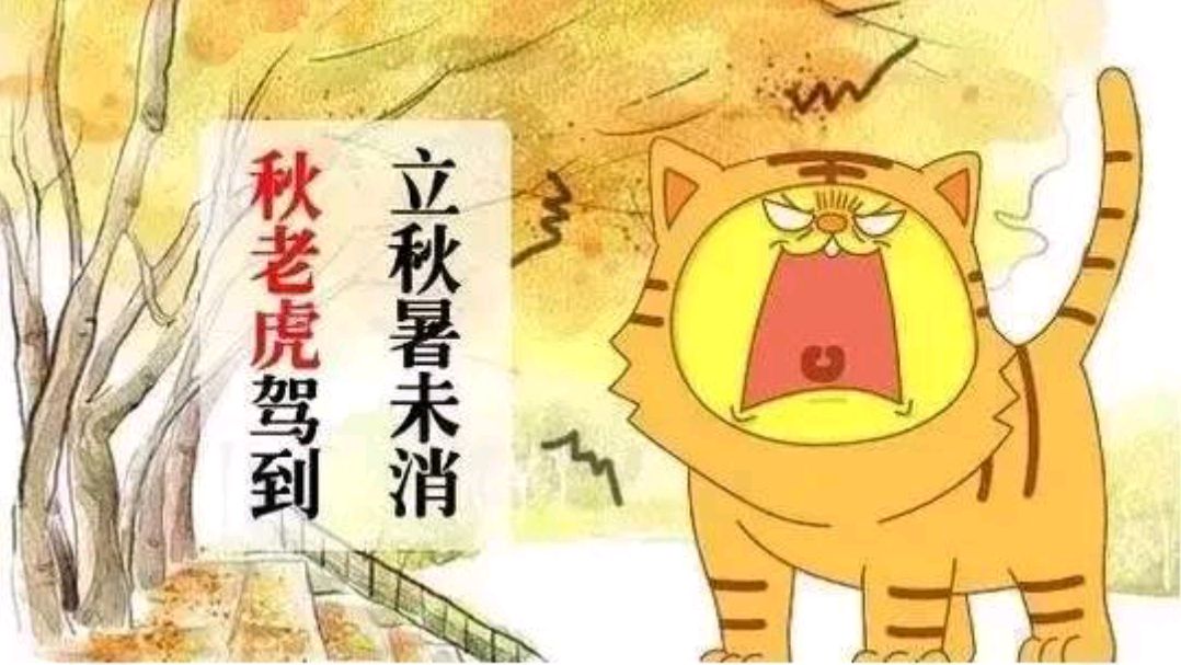 老姚说健康|进入末伏又迎来“秋老虎”,多吃3物,做到2多2少,帮助平安入秋