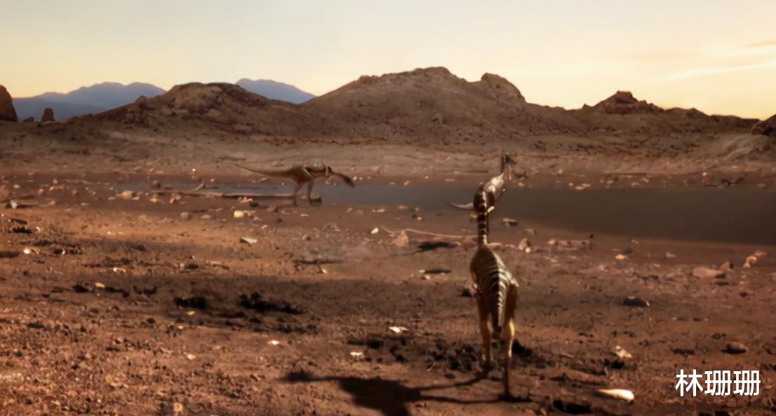 群星|动物广翅鲎：专吃海洋“浮尸”，4亿年前最先登陆地面的动物