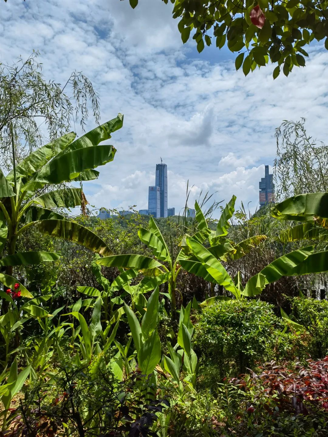 上官从云|上手华为P50 Pro半天，让我觉得惊喜的4个性能