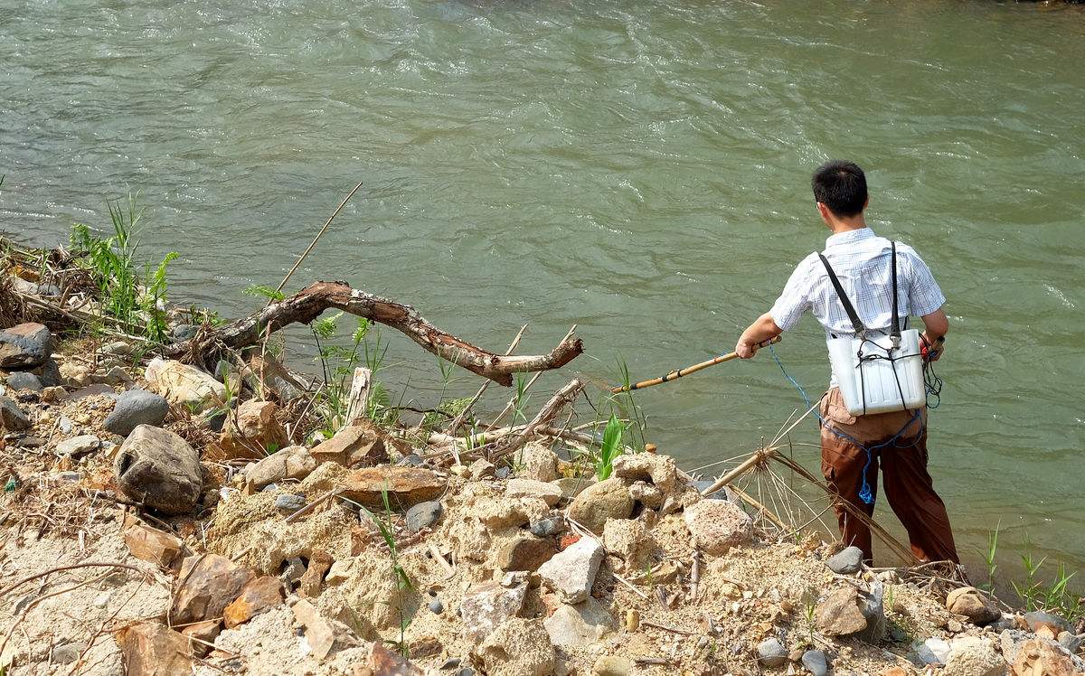 鲫鱼|不讲武德！邀兄弟去自留地钓鱼，弟炫耀鱼获，惨遭电工清河