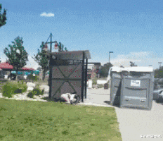 朱小燕聊情感|网恋女友发来夜跑自拍照说是纯素颜，我却被后面的焦点吸引了，真尴尬！哈哈哈