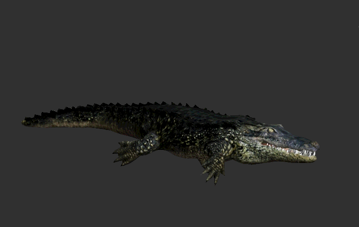 霍金 鳄鱼家族太倒霉！两亿年来，次次都在马上要称霸地球时被“针对”