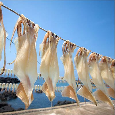 机械 地球气温上升，会让人越来越笨？这是什么逻辑？