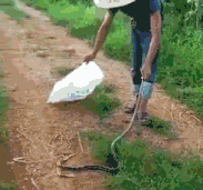 铭洋说育儿|神回复：三年女友突然不让碰了，有什么说法？大神一语点醒梦中人