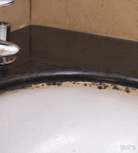 |日本人卫生间保持干净的秘密,这些细节很重要,建议主妇看看