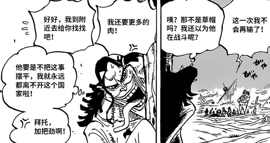 海贼王|海贼王官方资料：海米眼中的“自然系废物”，如今却成为大战关键