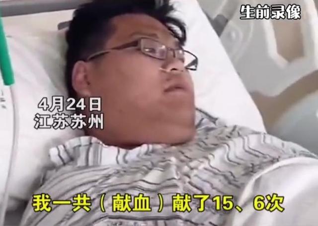 郑爽|郑爽不入刑，天理都不容！