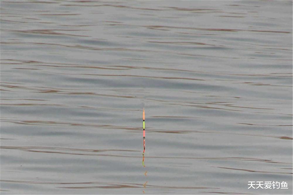 饵料|调漂方法大全：图解空钩调漂，简单只有四步，这是钓鱼人的基本功