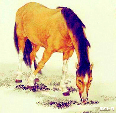 迪丽热巴|三大生肖，桃花常开不谢，贵人常来常往，走遍职场如鱼得水