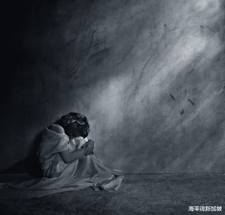 海羊说新加坡 新加坡=强奸之都？年均200起、并逐年递增！