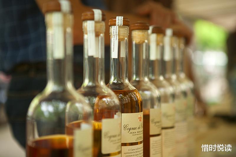 进阶|职业规划：一个人成年后的职业规划，选择何其重要