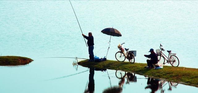 福建省|福建一男子小溪里钓鲫鱼，意外涨水冲来大量河鳗，扔下鱼竿就开捞
