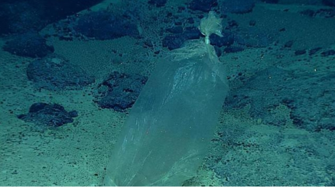 少明科学|科学家乘深潜器,下潜到10000多米深海底,发现本不该存在的东西