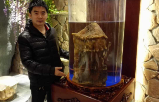 科学家 我们常说的太岁到底是什么？中国科学家用仪器揭开太岁的谜团