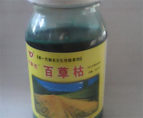 2014年,大连女子怀疑丈夫出轨,为惩罚丈夫,将其内裤浸泡百草枯