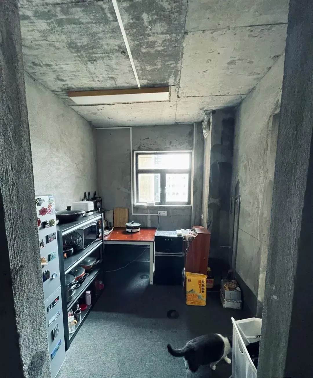 没钱装修，90后情侣直接入住170平毛坯房，生活却被无数人羡慕