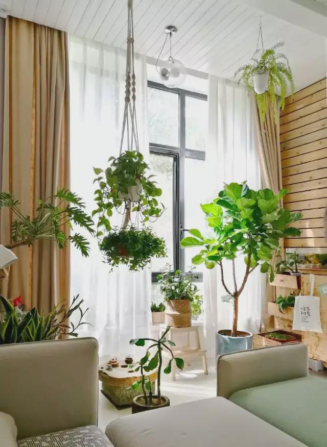 |阳台不装门，不要乱“砸墙”扩容面积，装修要谨慎