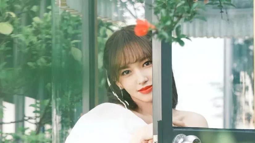 官宣|张哲瀚，杨洋，王源，赵丽颖，热巴，杨天真，李沁，白敬亭，陈赫