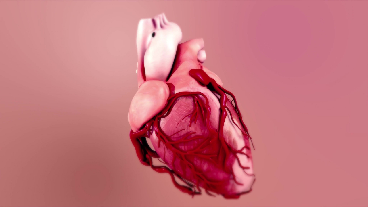 痛经|若想呵护心脏健康，晨起后做好这2件事或有帮助，让心脏越来越好