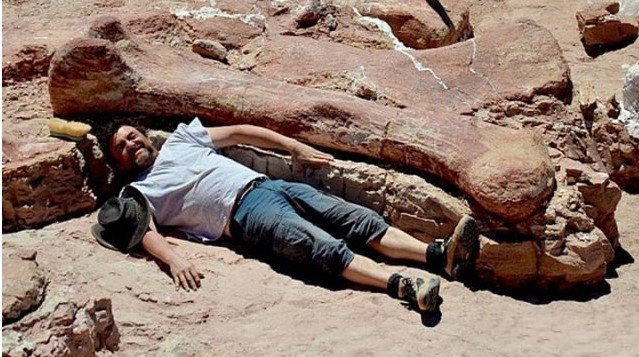 目前发现最大最高的恐龙化石