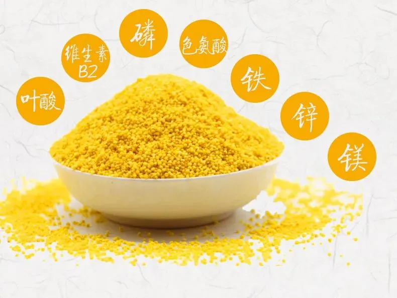 经贸视点 太行明珠方便小米粥之源——粟的故事