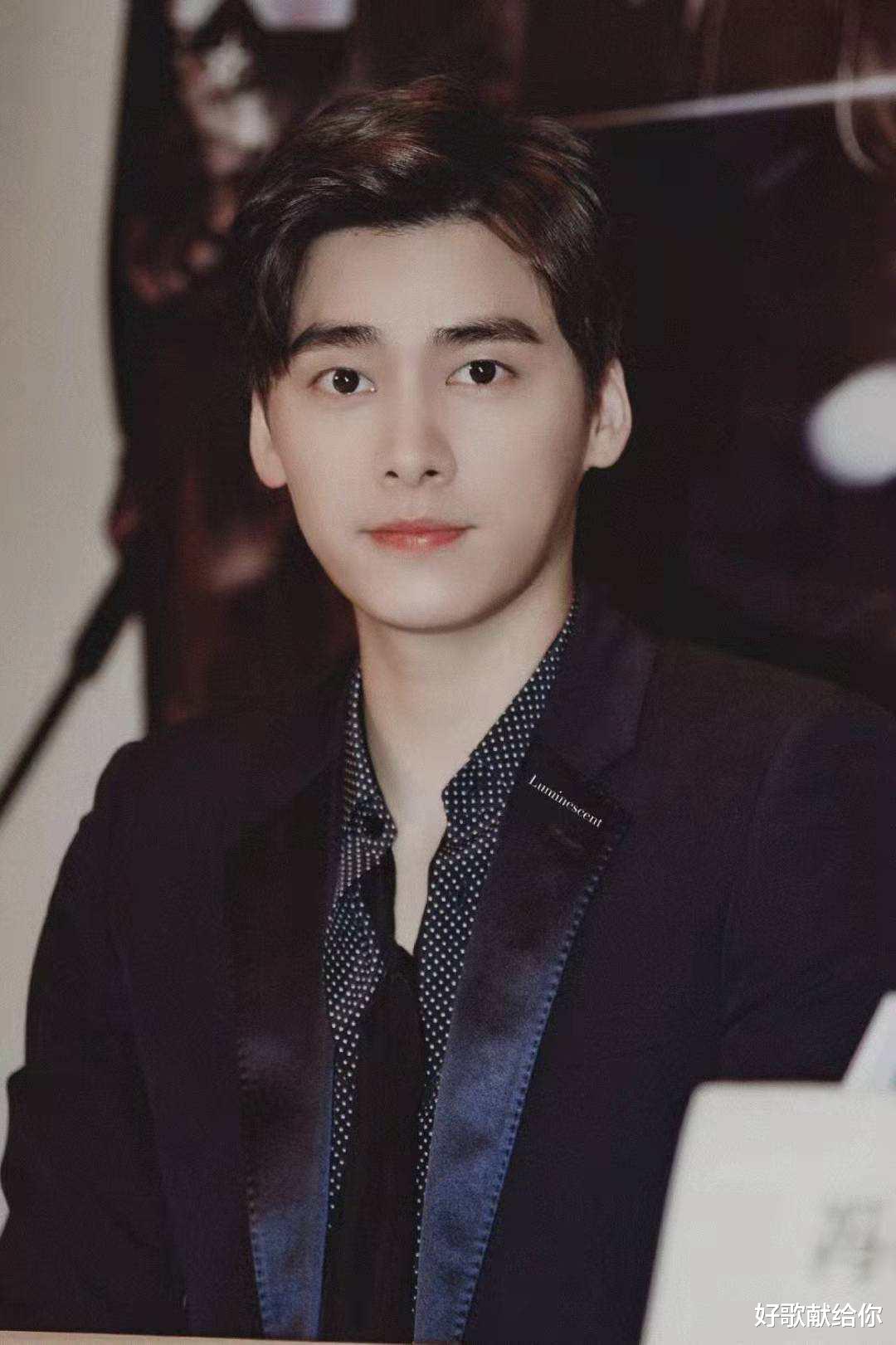 黄磊|10位“模式化”男星，流水线表演千篇一律，名利双收令人深思