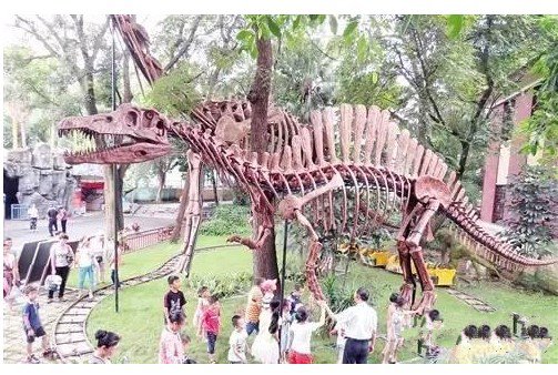 化石 扶绥中国上龙的分类疑云