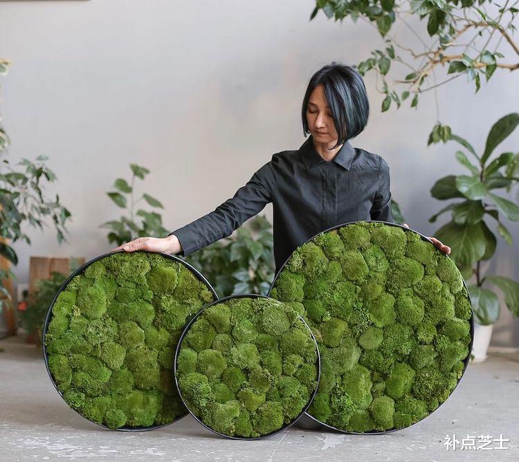 补点芝士 绿植打造的海岸线和丛林，艺术家让您在家中就能欣赏大自然之美