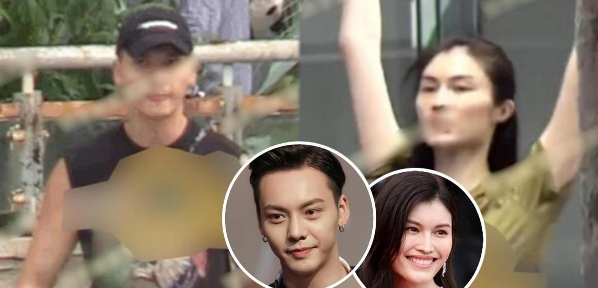 陈伟霆|何穗离婚因前夫没钱？陈伟霆计划结婚，家里人已经默认儿媳妇？