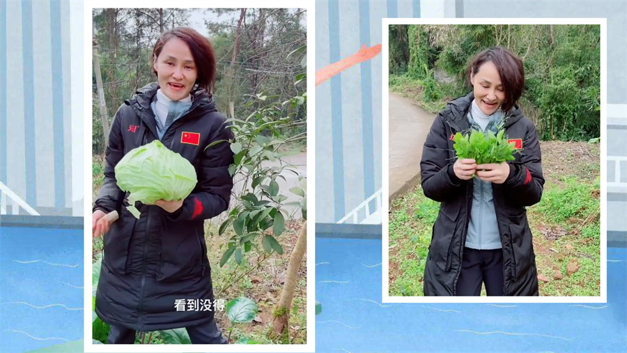 高敏|51岁“跳水皇后”下地割菜，素颜出镜动作娴熟，曾公开评价全红婵