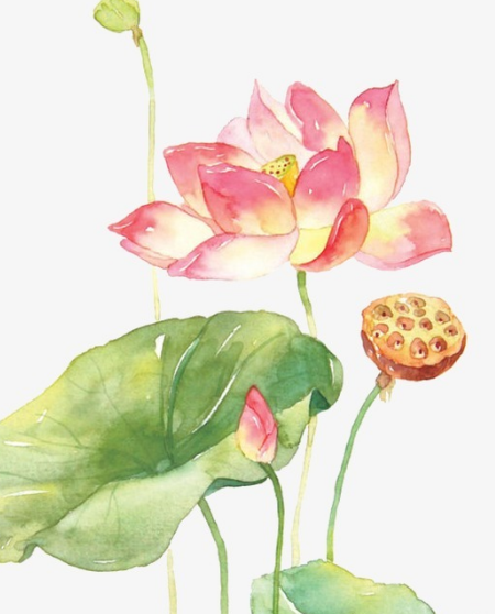 星临天下 到10月底,运势上上签,4属相鸿运当头,贵人相助,生活顺心