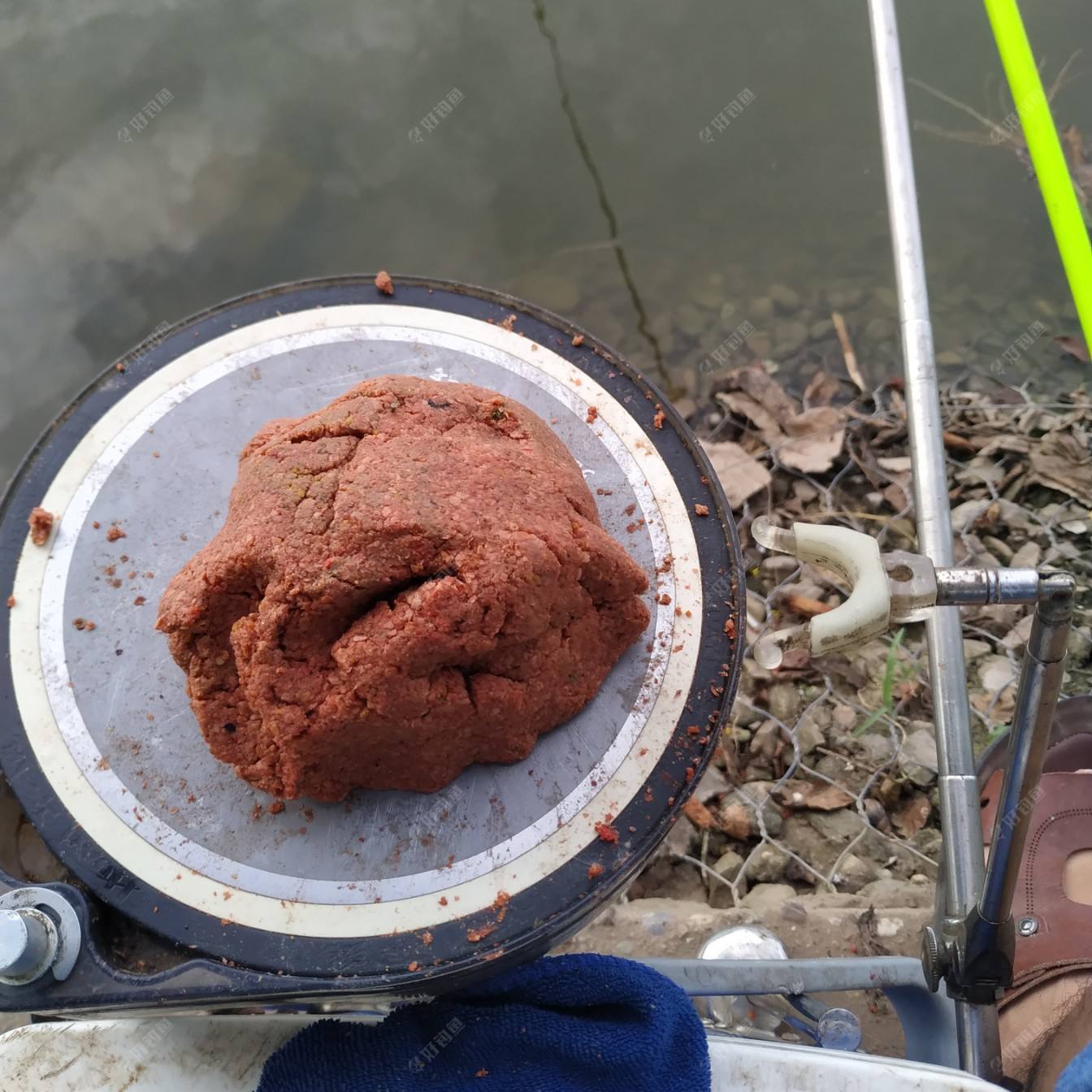 饵料|为什么总是钓不到鱼，因为你根本没弄明白钓鱼的三要素