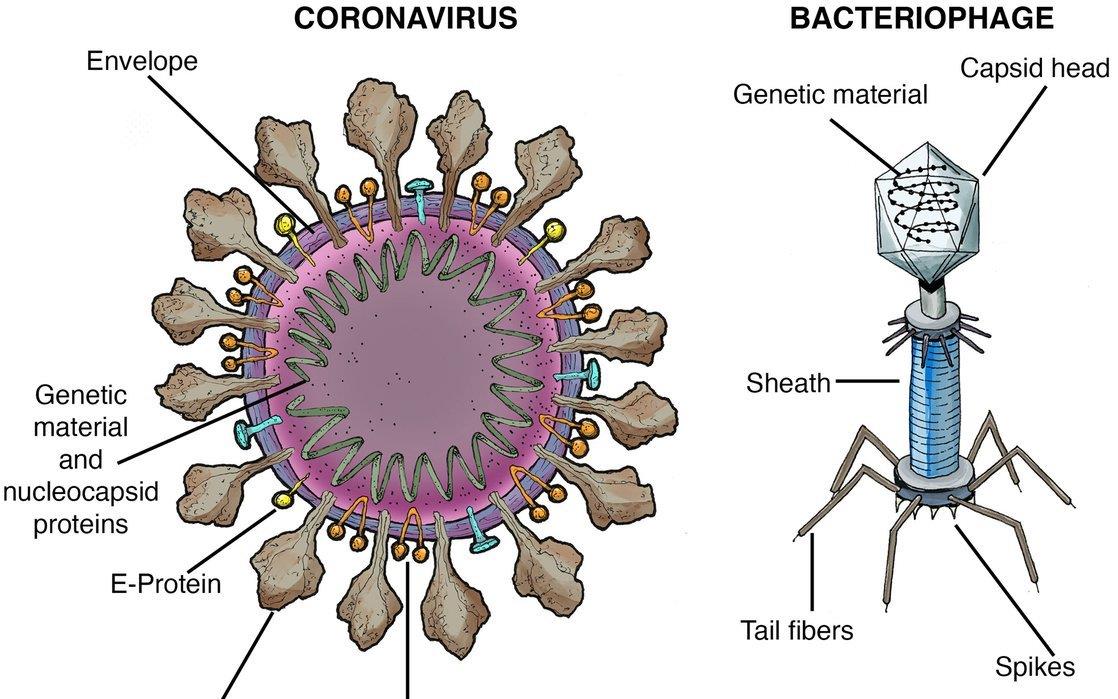 全球变暖 地球变暖或停止，新冰河时期马上来了？科学家：可能面临变冷威胁