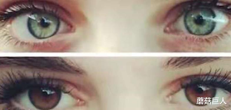 蘑菇巨人|3万年前的星空遗民,外星种族放在地球的小白鼠,你是其中之一吗?